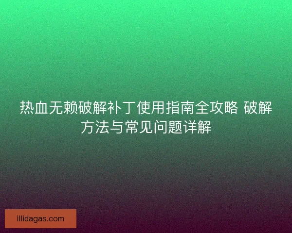 热血无赖破解补丁使用指南全攻略 破解方法与常见问题详解